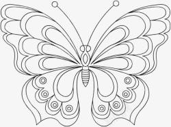 单色蝴蝶线稿美丽的蝴蝶准备飞翔高清图片