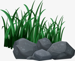 石缝草春天绿色乡间小草高清图片