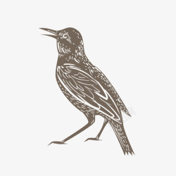 黑白的鸟类停留的鸟简笔画矢量图高清图片