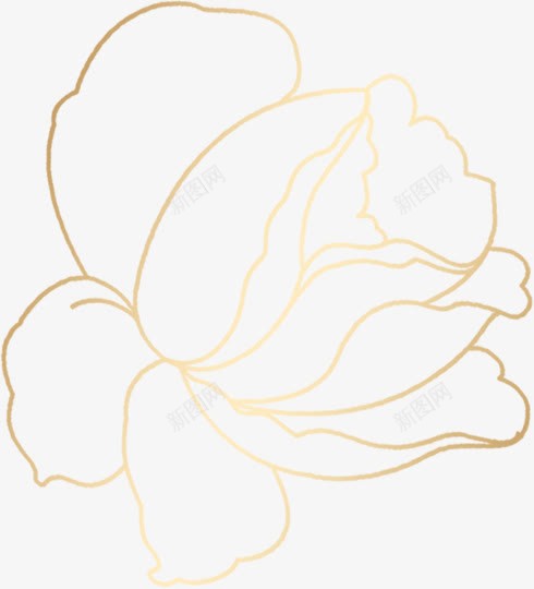 黄色渐变线条花朵png免抠素材_新图网 https://ixintu.com 渐变 线条 花朵 黄色