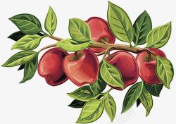 红蛇果手绘苹果树高清图片