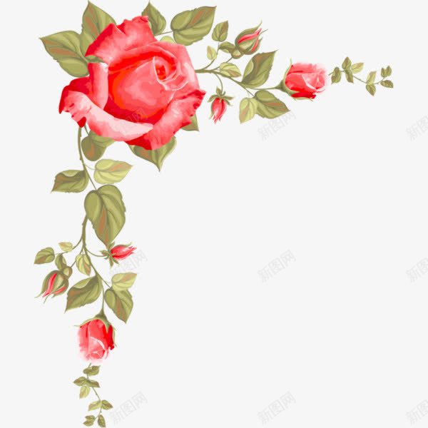 玫瑰花边框png免抠素材_新图网 https://ixintu.com 手绘 玫瑰花 红色 花蕾 装饰 鲜花