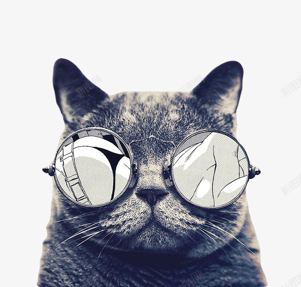 带墨镜的猫png免抠素材_新图网 https://ixintu.com 创意 图案 墨镜 家居 猫 黑色