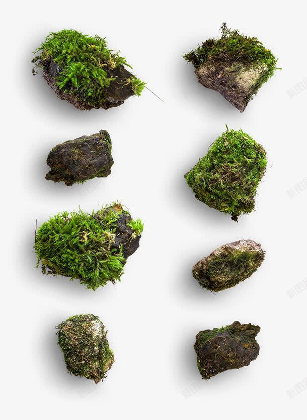 长满绿苔的石块png免抠素材_新图网 https://ixintu.com 实物 石块 石头 绿色