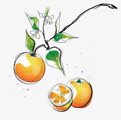 色彩静物柑橘简笔线条及色彩画高清图片