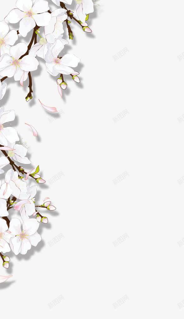 白色手绘简约花朵png免抠素材_新图网 https://ixintu.com 白色 简约 花朵