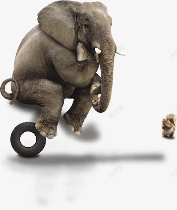 大象冥想png免抠素材_新图网 https://ixintu.com 侧面大象 创意动物 动物 大型动物 大象 小松鼠 思考