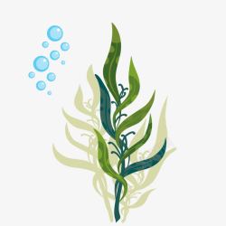 海洋植物免抠PNG绿色海草植物泡泡高清图片