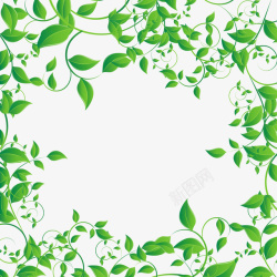 茶叶绿色叶子边框矢量图高清图片
