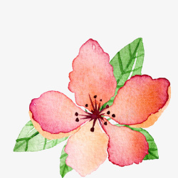 彩绘树枝手绘水彩花卉高清图片