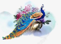 中国风孔雀孔雀高清图片