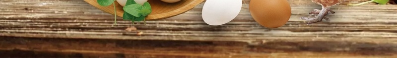 绿色食品农家土特产海报背景模板jpg设计背景_新图网 https://ixintu.com 农产品宣传海报 农家鸡 土鸡蛋 复古木板 有机食品 树叶 母鸡 海报背景 绿色产品