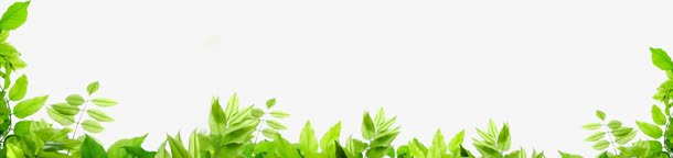 绿色树叶树丛点缀植物png免抠素材_新图网 https://ixintu.com 树丛 树叶 植物 点缀 绿色