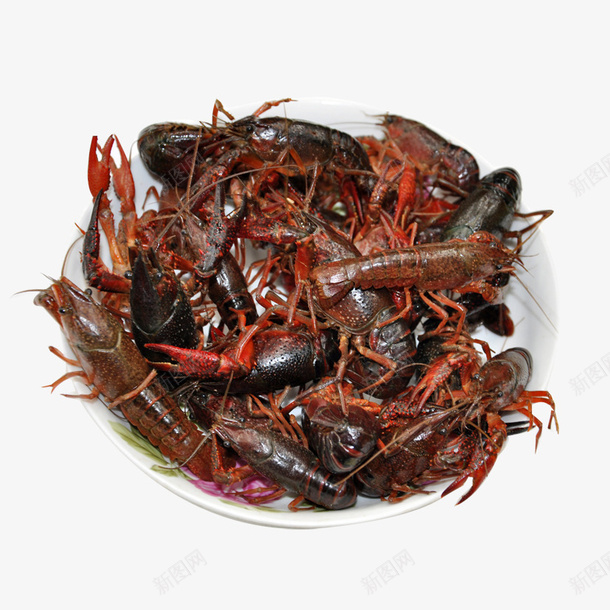 新鲜的小龙虾实物图png免抠素材_新图网 https://ixintu.com 大海 实物图 小龙虾 新鲜的 沙滩 海鲜 美味的