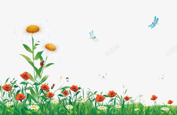 卡通花卉png免抠素材_新图网 https://ixintu.com daisy 小雏菊 白色野花 花丛 花卉 遍地野花 野花丛