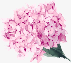 女装粉嫩花瓣手绘水彩粉色花朵高清图片