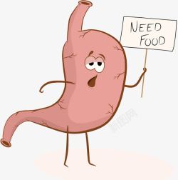 卡通消化系统肠胃卡通形象高清图片