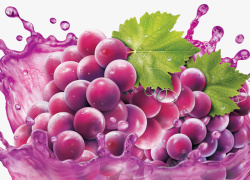 紫色液体紫色葡萄汁高清图片