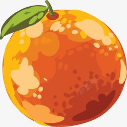 小清新花草装饰橙色手绘橘子高清图片