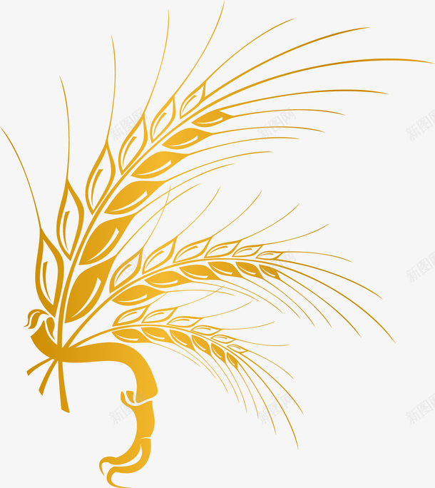 手绘金色麦子图标png_新图网 https://ixintu.com 小麦 手绘植物 手绘麦子 手绘麦穗 稻田 谷物 谷物手绘 青稞 青稞植物 麦 麦子 麦穗 麦穗图标