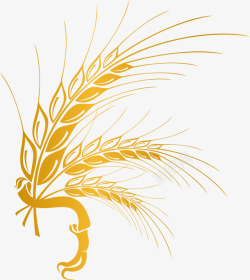 青稞手绘金色麦子图标高清图片
