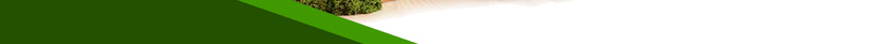 新鲜营养绿色生态农场psd设计背景_新图网 https://ixintu.com 农业 农产品 农产品招商 农家乐 扁平 新鲜果蔬 新鲜营养 有机 果园采摘 果蔬 果蔬宣传单 果蔬展板 果蔬采摘 水果 海报 生态养殖 绿叶 绿色食品 蔬果 超市传单 超市蔬菜