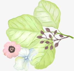 肉植logo手绘植本花草高清图片