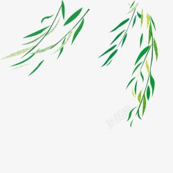 飘扬的柳枝飘扬的柳枝高清图片