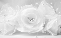 白纱花朵婚庆白纱珍珠花朵背景高清图片