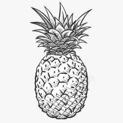 卡通手绘线描菠萝素材
