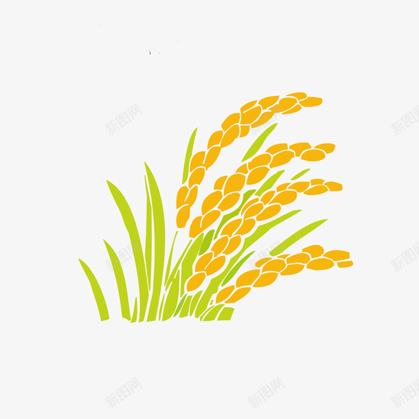 水稻矢量图ai免抠素材_新图网 https://ixintu.com 丰收 卡通设计 植物 水稻设计 立秋 食物设计 矢量图
