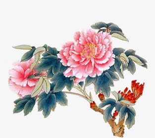 中秋节手绘花朵展板png免抠素材_新图网 https://ixintu.com 中秋节 展板 花朵