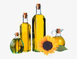 橄榄葵花调和油瓶子里的葵花油高清图片