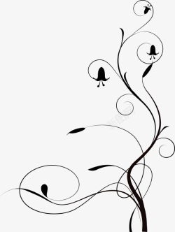 黑白手绘图欧式花藤高清图片