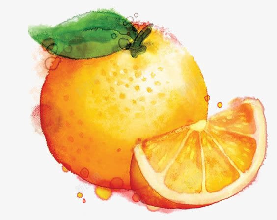 水彩橙子png免抠素材_新图网 https://ixintu.com 创意水果 卡通橙子 橙色橘子 甜橙
