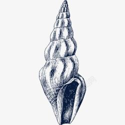 花纹贝壳手绘黑色尖海螺图标高清图片