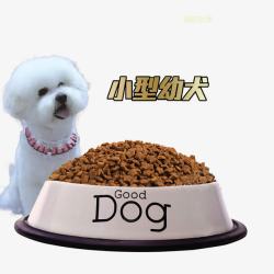 小型幼犬宠物店宣传素材