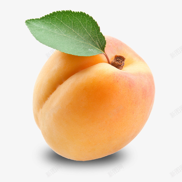 实物新鲜杏子png免抠素材_新图网 https://ixintu.com 一个杏子 平面 新鲜杏子 水果 绿叶 食物