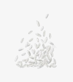 粳米米粒高清图片