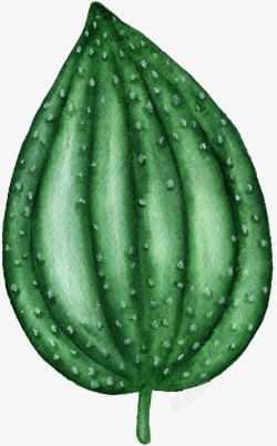 绿色植物卡通手绘素材