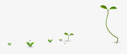 绿色小芽小豆芽绿芽植物发芽高清图片