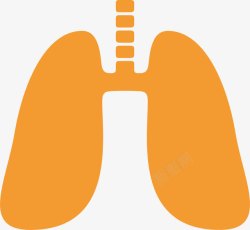 肺部器官黄色的人体腹部器官高清图片