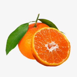 色泽鲜艳产品实物新鲜橘子蜜柑高清图片