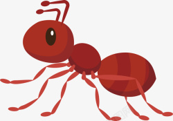 可爱蚂蚁勤劳的小蚂蚁高清图片