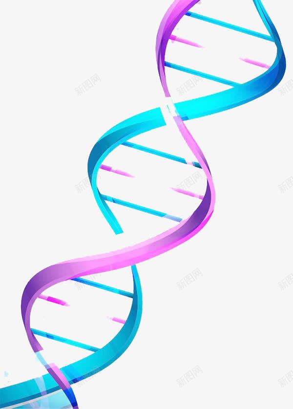 可爱彩色DNA双螺旋基因链png免抠素材_新图网 https://ixintu.com DNA双螺旋 PPT元素 医药 基因 实验 科研 遗传