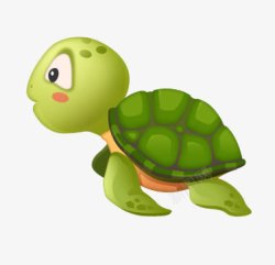 绿色小乌龟乌龟高清图片