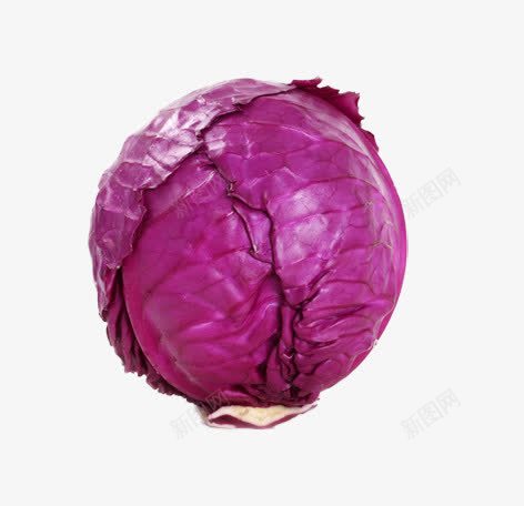 紫甘蓝png免抠素材_新图网 https://ixintu.com 十字花科 紫色的包菜 红甘蓝 蔬菜类 赤甘蓝