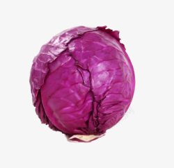 紫色的包菜紫甘蓝高清图片