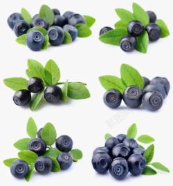 蓝莓水果甜好吃新鲜的蓝莓高清图片