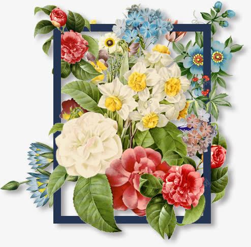 花季png免抠素材_新图网 https://ixintu.com 各种花类 时装装饰物 框框 水彩花卉 水彩花朵 白色的花 红色的花 蓝色的花